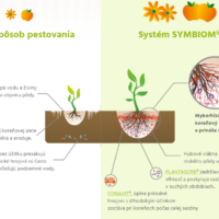 co je symbiom